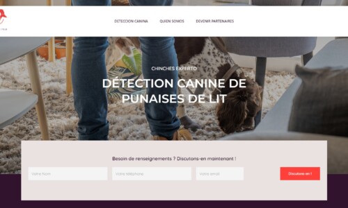 Chinches-experto.es Création du site internet pour Chinches Experto