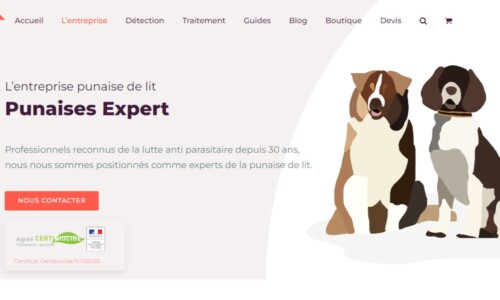 Punaises-Expert.com Création du site internet pour Punaises Expert, détection canine de punaise de lit